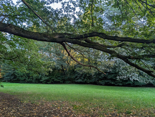 Free Peaceful park scene with lush greenery, perfect for relaxation. Stock Photo
