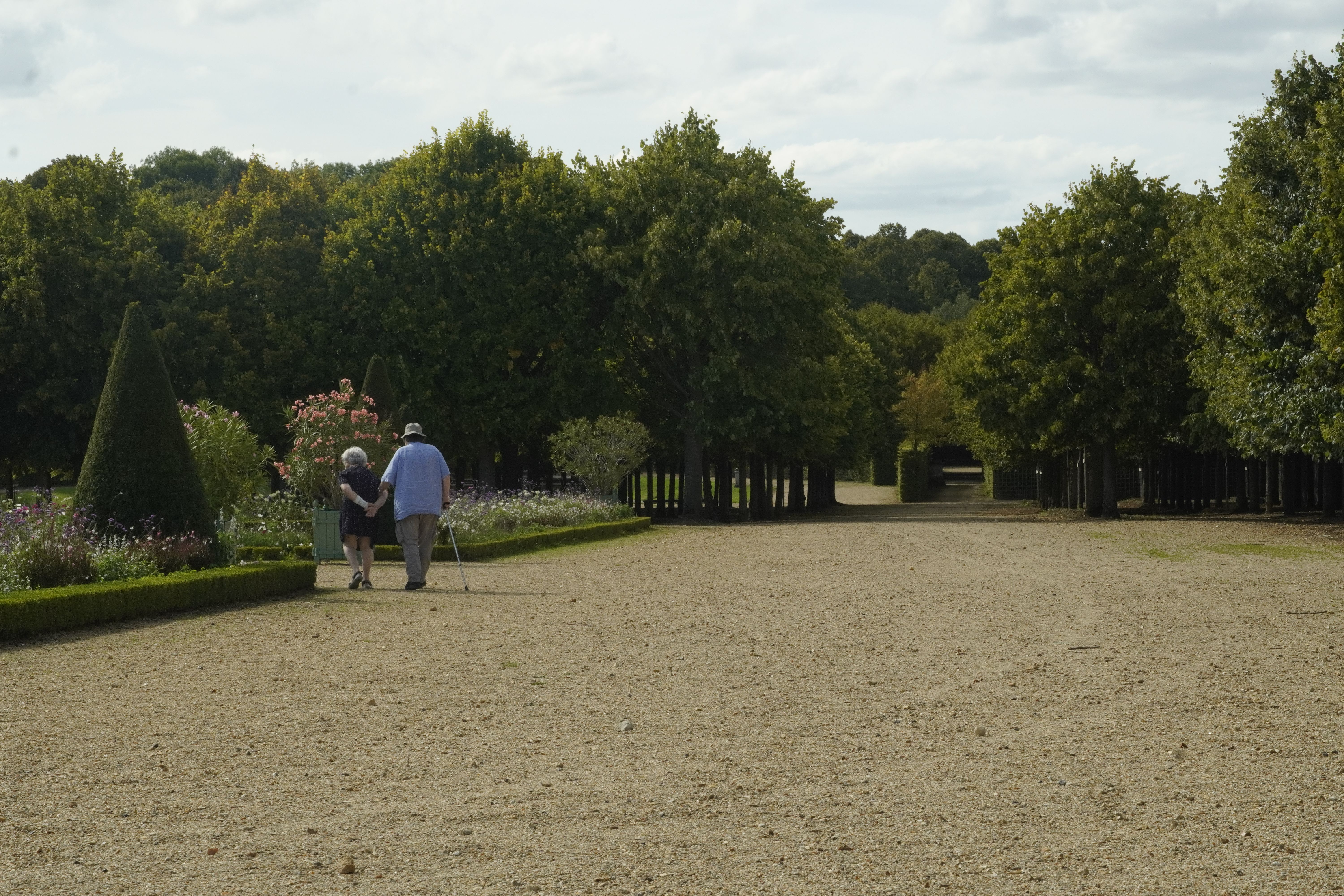 An elderly couple walking hand in hand down a tranquil garden path.