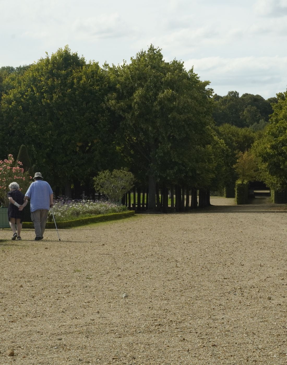 A senior couple walking hand in hand along a garden path