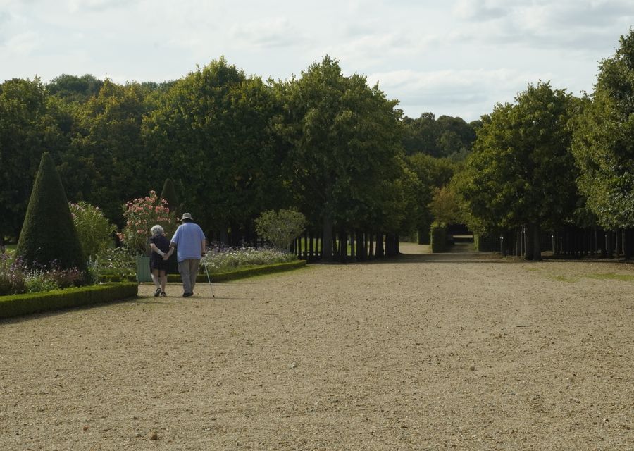 An elderly couple walking hand in hand down a tranquil garden path.