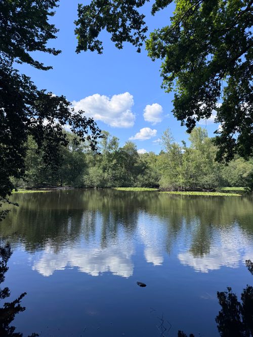 Free Tranquil lake scene with clear reflections of blue sky and clouds surrounded by lush greenery. Stock Photo
