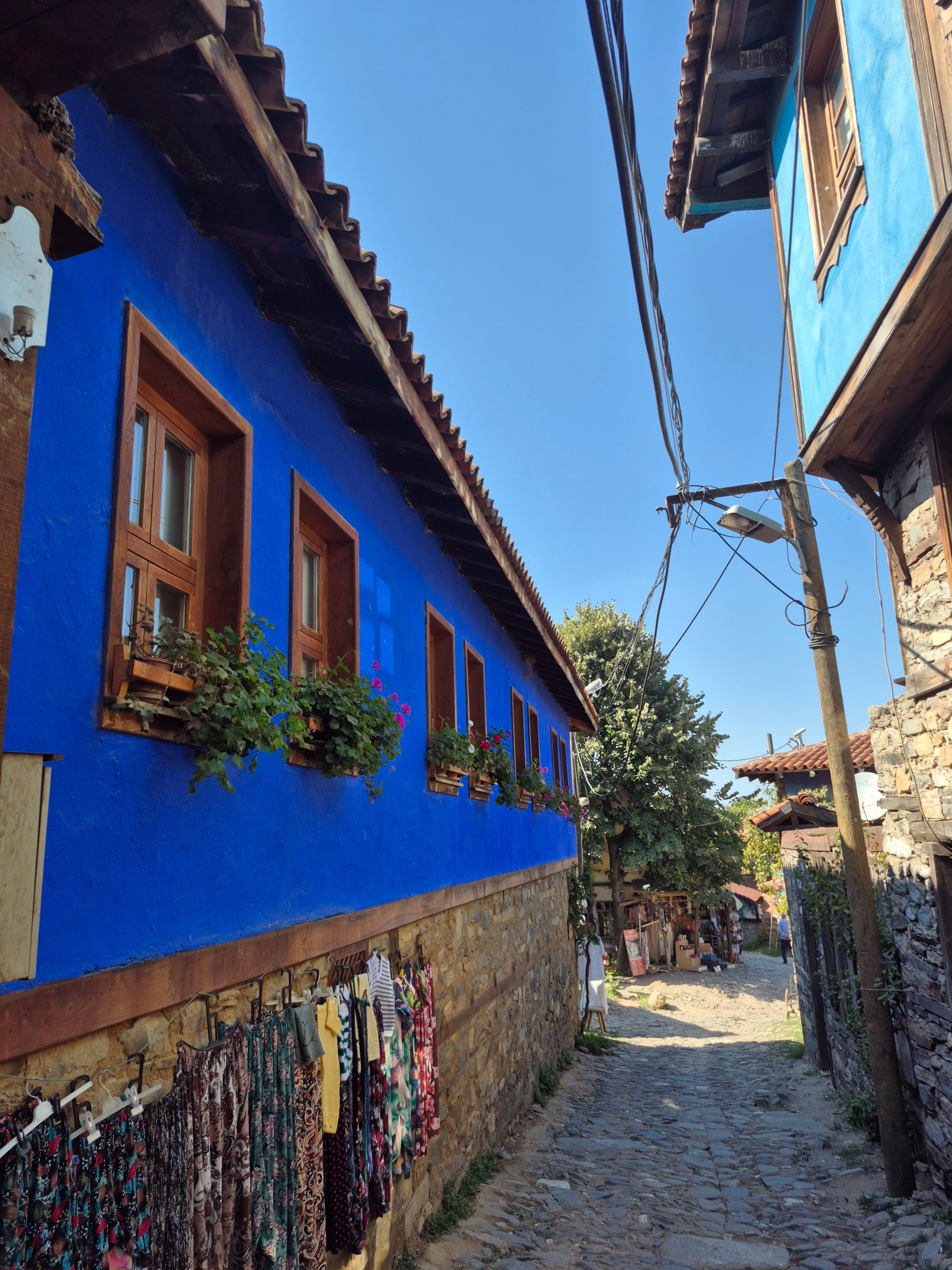 Picturesque street with vibrant blue houses in a quaint village setting.