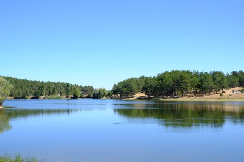Free Tranquil lake surrounded by lush pine trees under a clear blue sky in Ankara, Türkiye. Stock Photo