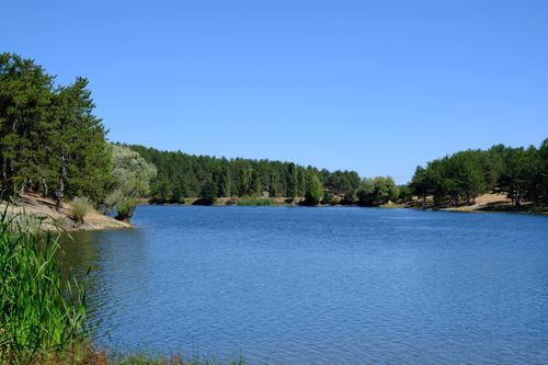 Free Tranquil lake surrounded by lush forests under a clear blue sky in Ankara, Türkiye. Stock Photo