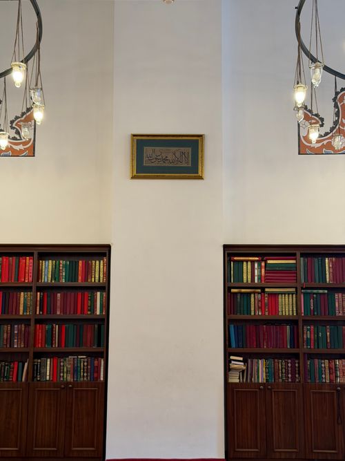 Free Sophisticated library design featuring elegant chandeliers and bookcases filled with colorful volumes. Stock Photo