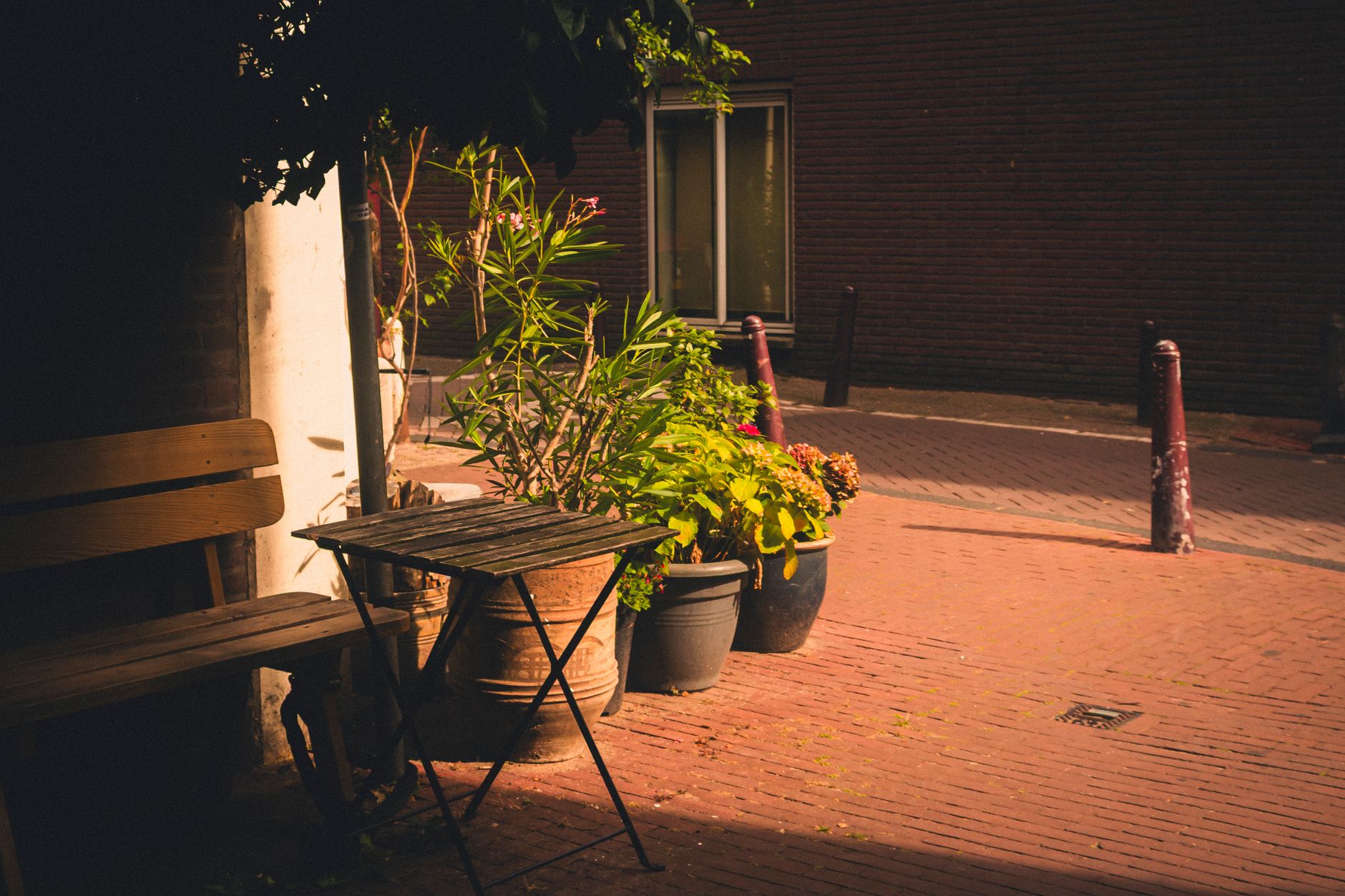 Sunlit Amsterdam courtyard scene with rustic bench and potted plants, capturing serene European ambiance.
