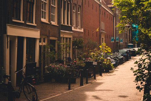 Free Quaint street in Amsterdam showing bicycles lined up beside a row of historic brick houses with flower arrangements. Stock Photo