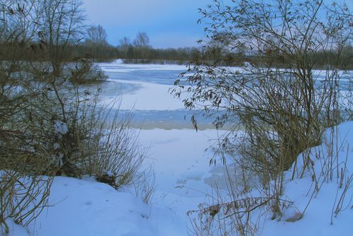 Free A serene frozen lake surrounded by snow-covered banks and bare trees. Stock Photo