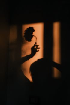 Artistic shadow silhouette of a hand holding a flower against a warm-lit wall.