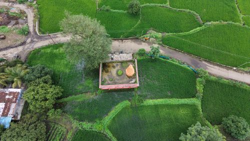 Free Aerial shot of vibrant green fields surrounding a small temple near Pune, India. Stock Photo