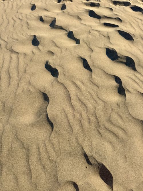 Free Captivating image of textured sand dunes illuminated by warm sunlight, showcasing natural patterns. Stock Photo