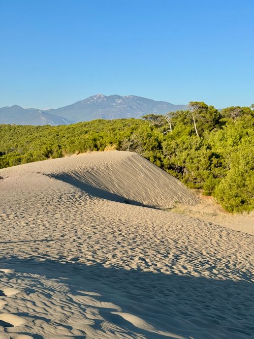 Free A serene view of golden sand dunes with lush greenery and distant mountains under a clear blue sky. Stock Photo