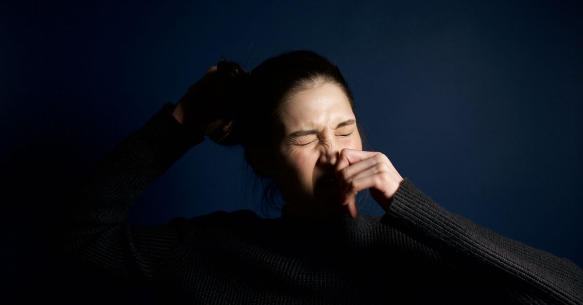 ¿Qué es una alergia estacional? ¿Qué es una alergia estacional?