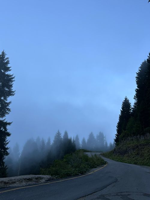 Free A tranquil scene of a winding mountain road surrounded by pine trees disappearing into the morning fog. Stock Photo