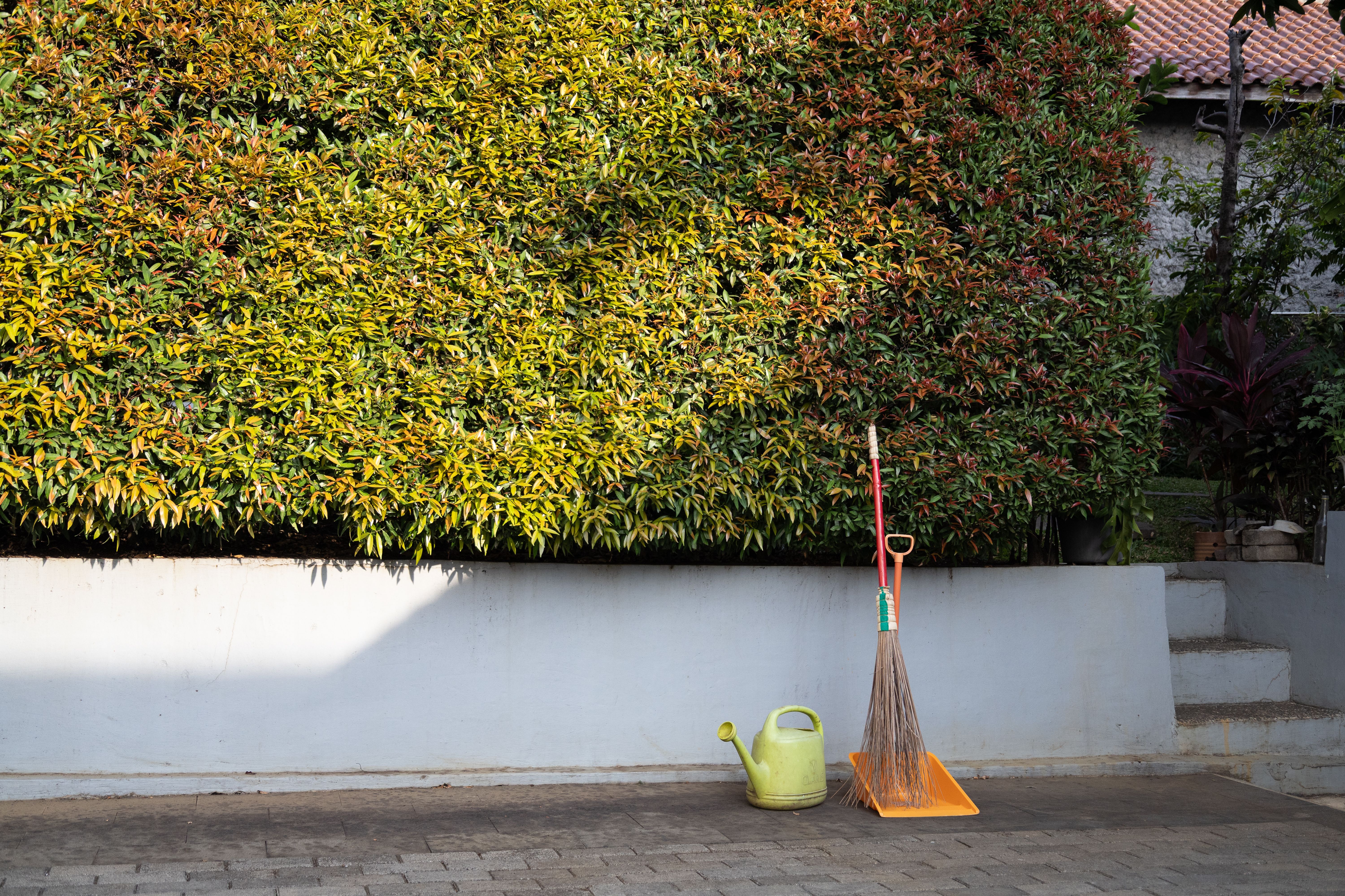 Gardening tools laid against a lush green hedge — when should you cut hedges Surrey BC