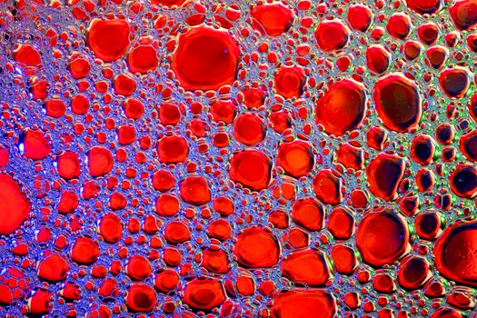 Close-up of multicolored soap bubbles showcasing vivid abstract patterns in a macro format.