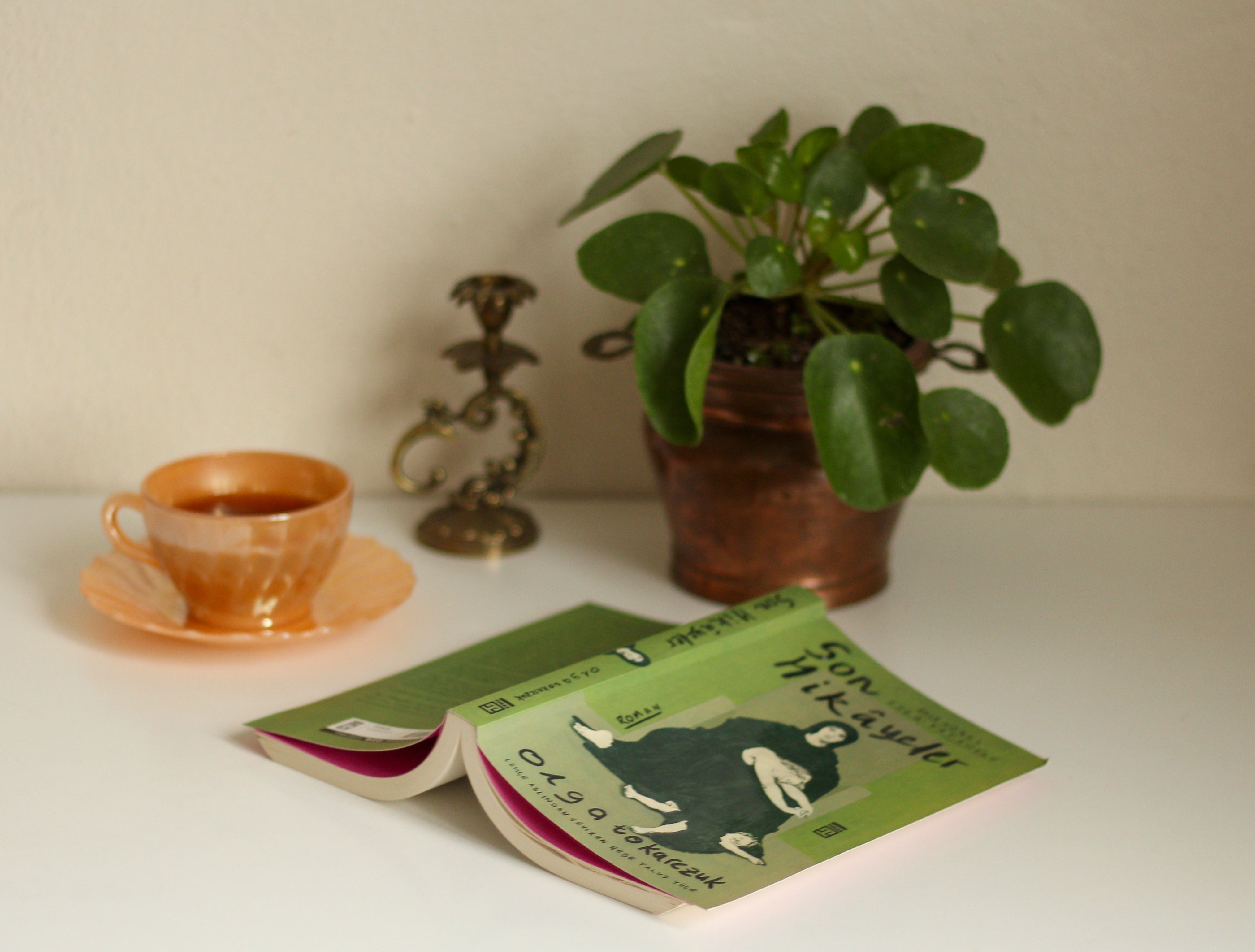 A cozy indoor scene featuring a book, cup of tea, and a houseplant on a table.