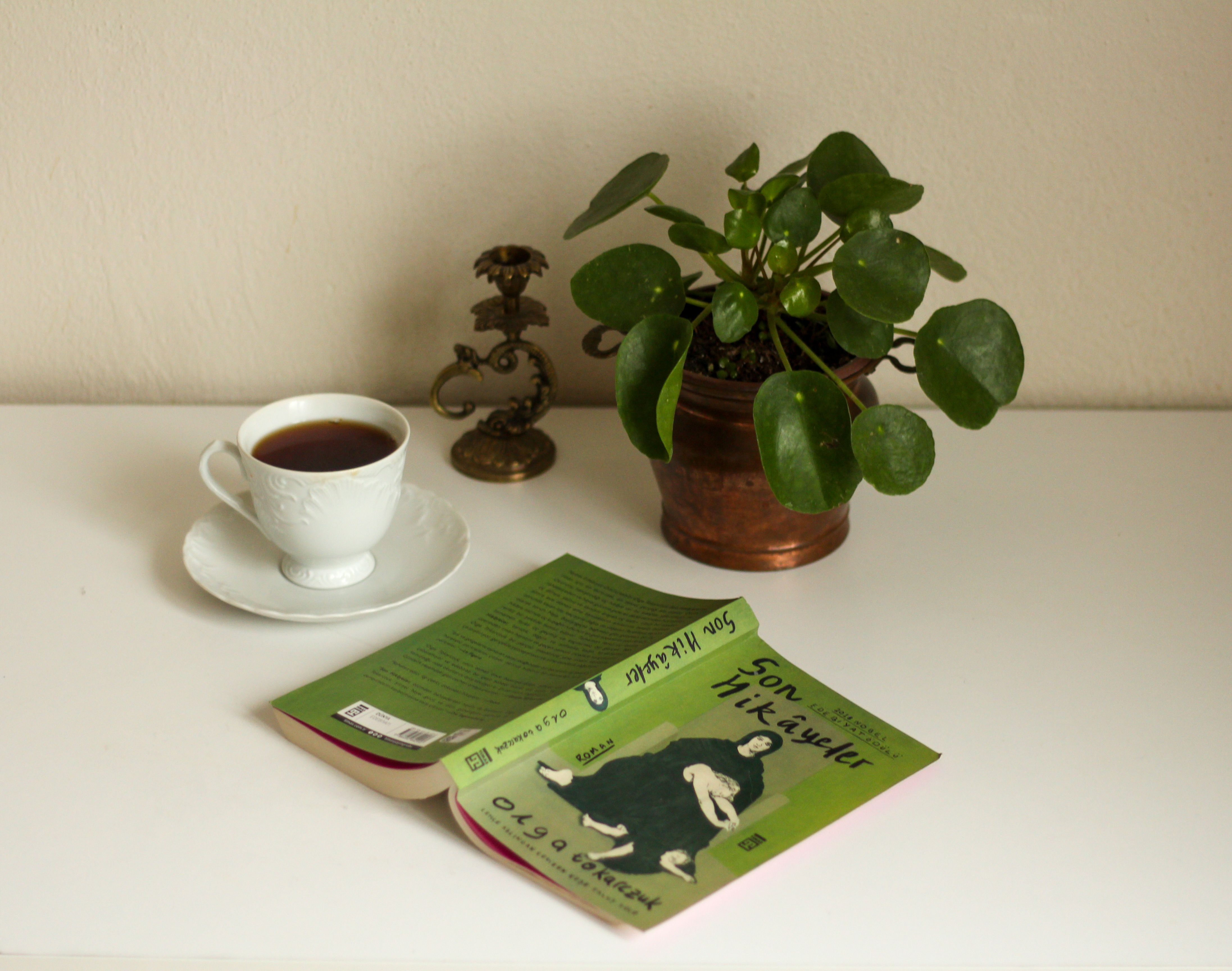 A serene setup with a book, plant, cup of tea, and vintage decor for relaxation.
