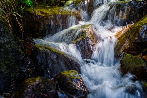 Free Delicate waterfall cascading over moss-covered rocks in a tranquil forest setting. Stock Photo