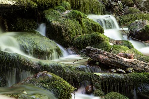 Free Tranquil forest waterfall cascading over moss-covered rocks, creating a peaceful natural scene. Stock Photo