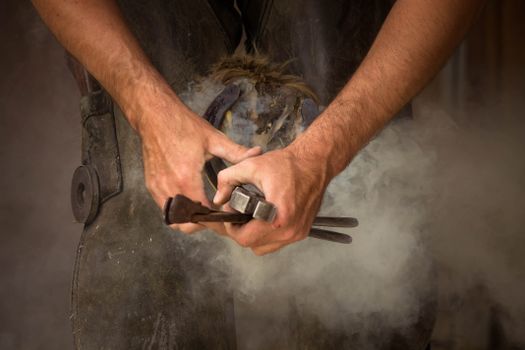 Close-up of a blacksmith shoeing a horse, showcasing the craftsmanship and smoke effect.