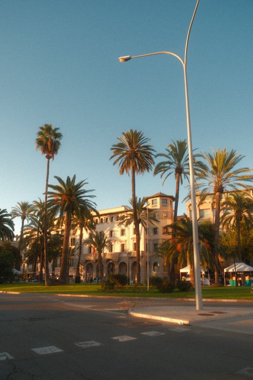 Free A beautiful building surrounded by tall palm trees at sunset, exhibiting a serene tropical vibe. Stock Photo