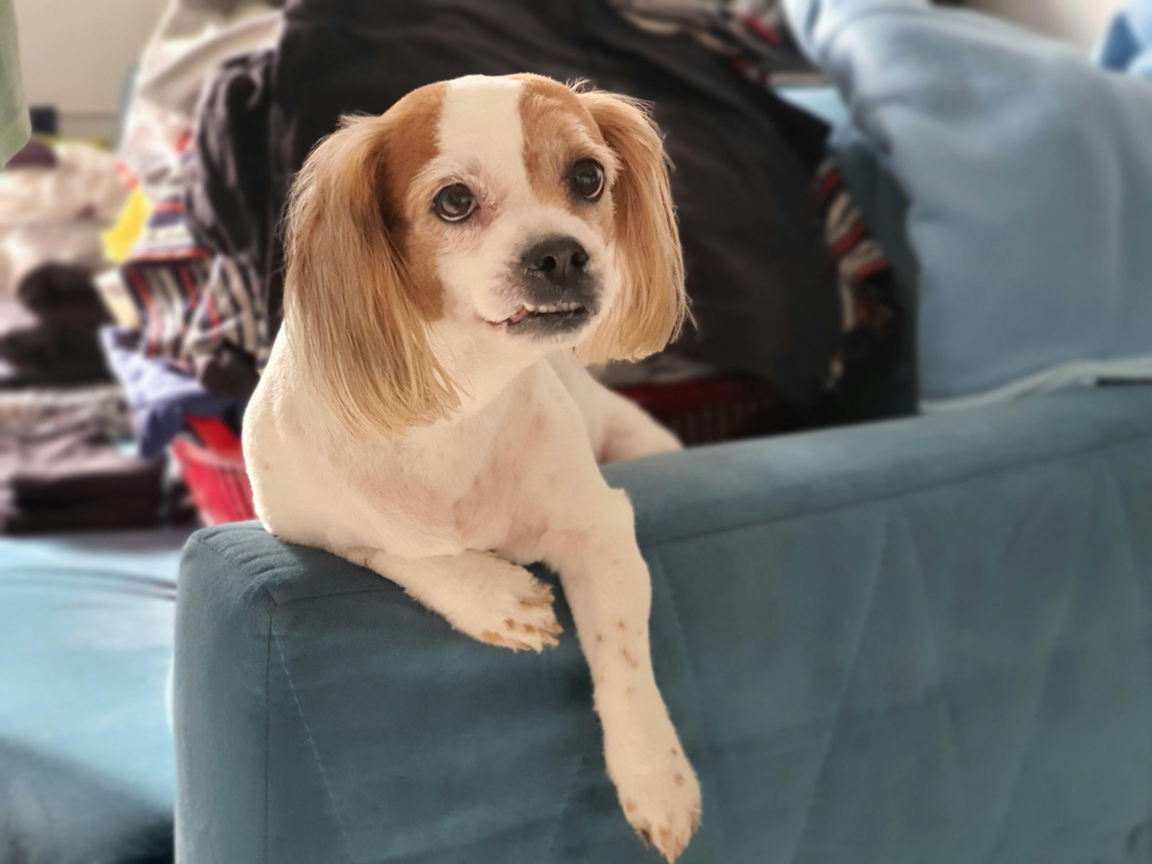 샤워하는 사람의 발과 물방울