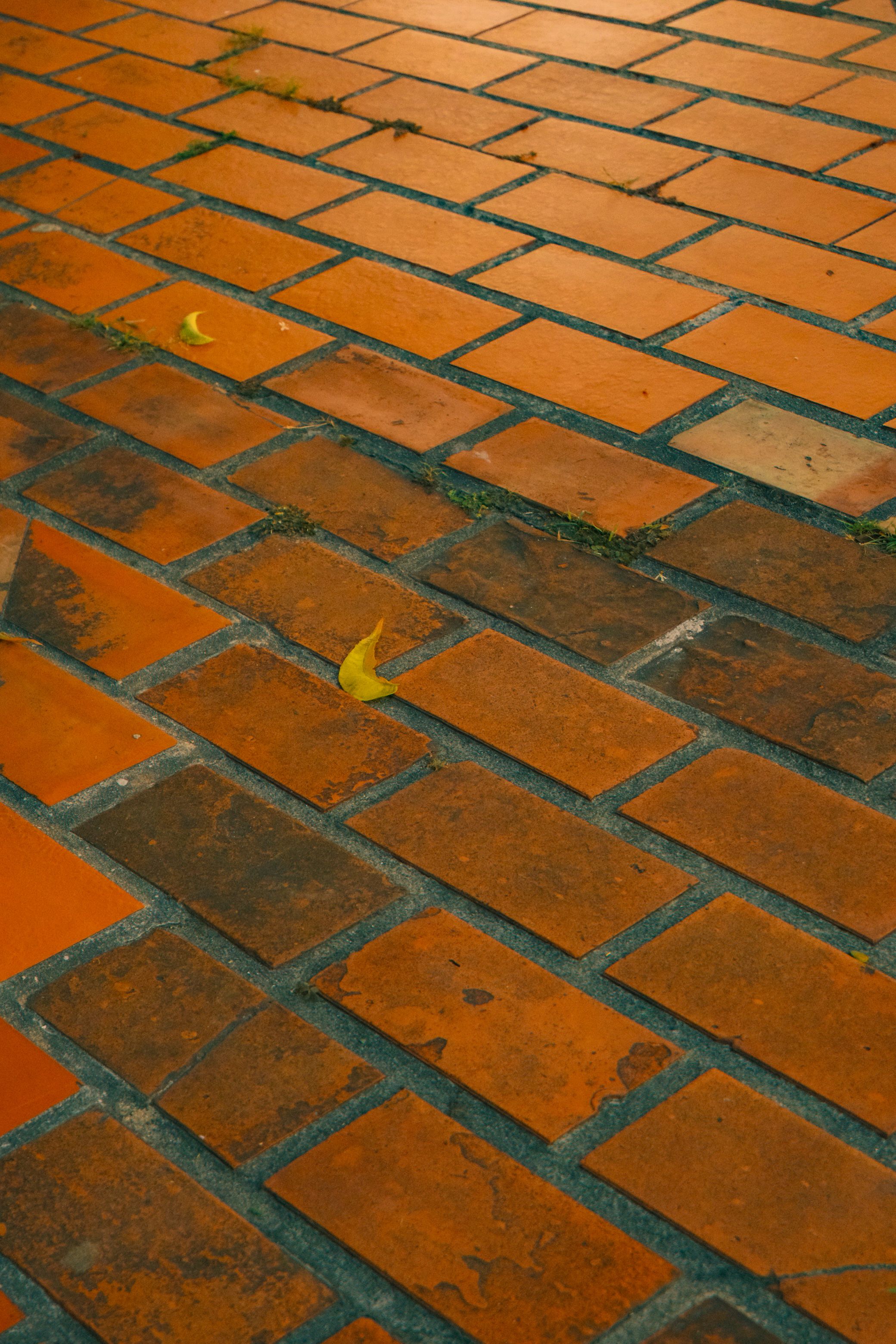 Close-up of a rustic brick pavement with scattered yellow leaves, evoking an autumn feel.
