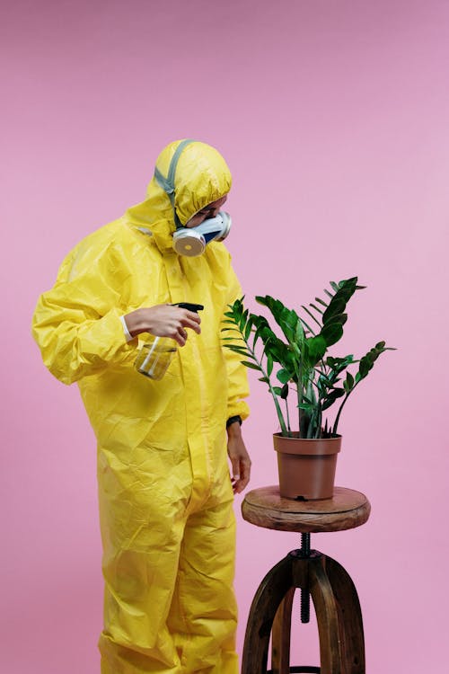 Person in Yellow Coveralls Spraying Plant