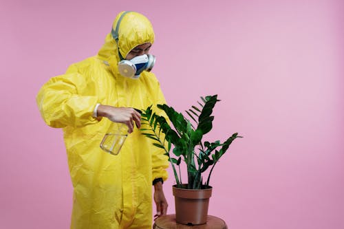 Free Person in Yellow Coveralls Spraying Plant Stock Photo