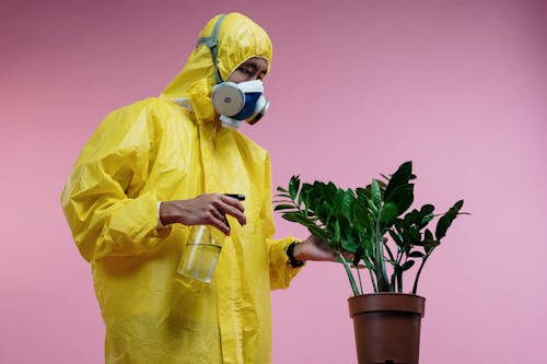 Person in Yellow Coveralls Spraying Plant