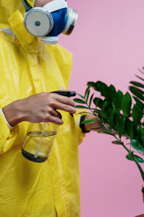 Free Person In Yellow Protective Suit Watering A Plant Stock Photo