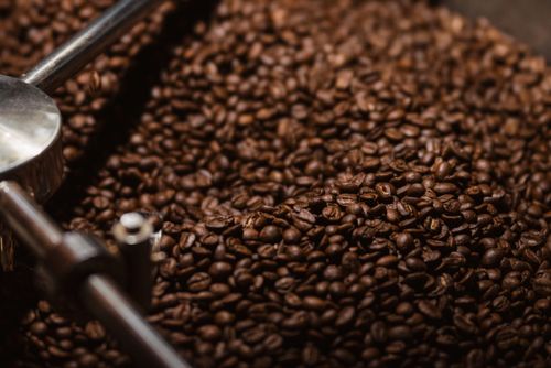Free Close-up of freshly roasted coffee beans in a cooling tray showcasing rich brown tones and texture. Stock Photo