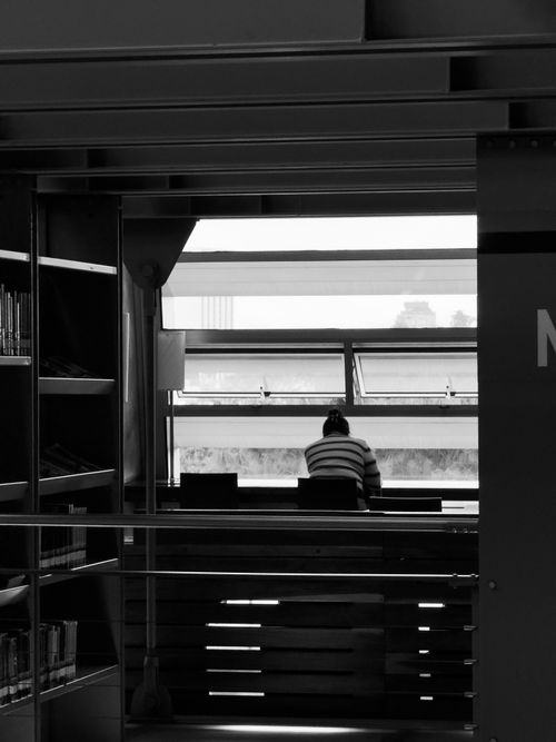 Free A person reads in a modern library in Mexico City, captured in black and white. Stock Photo