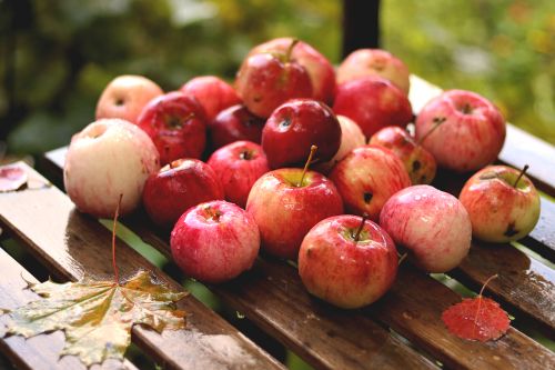 Free A pile of fresh apples with raindrops on a wooden surface, surrounded by fall leaves. Stock Photo