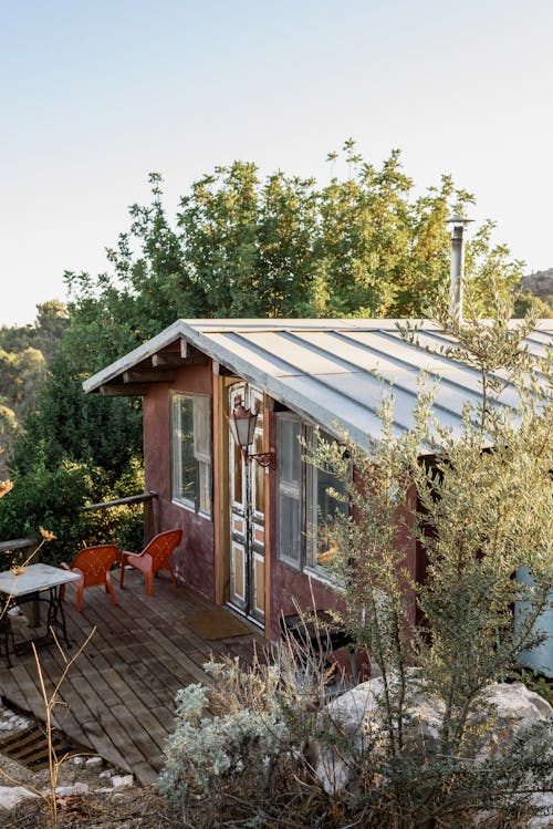 Small rural house among vegetation in sunny day