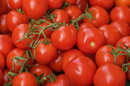 Free Close-up of fresh organic tomatoes with vibrant green stems, ideal for food and healthy living concepts. Stock Photo