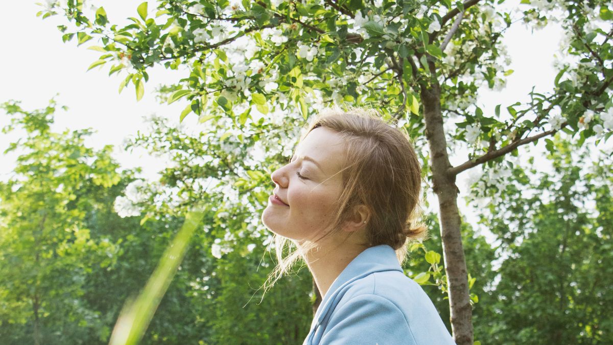 Gestion du stress par la cohérence cardiaque