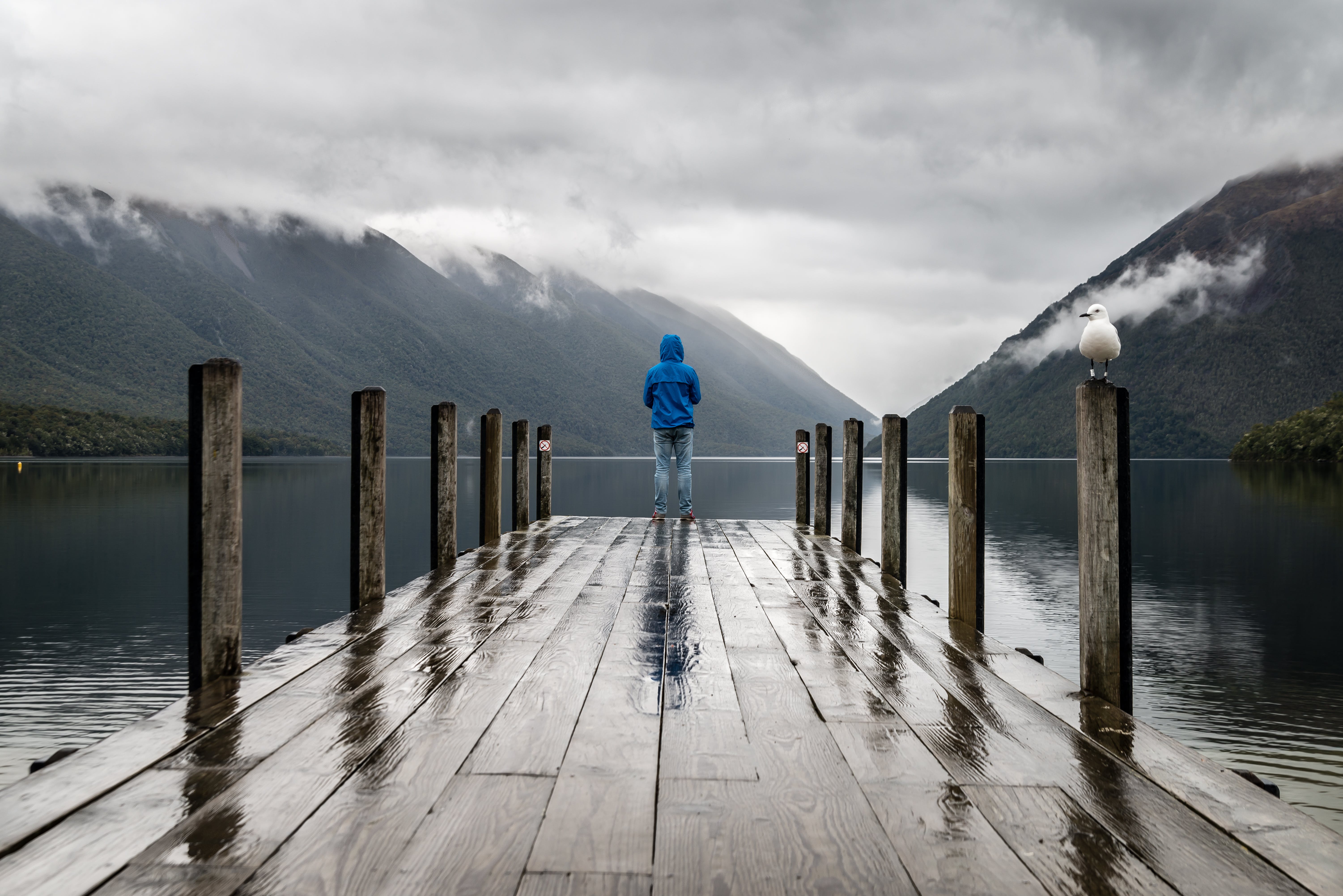 person standing on brown wooden dock