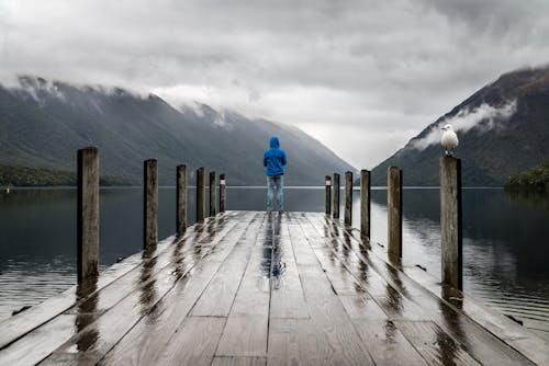 Free Person Standing on Brown Wooden Dock Stock Photo