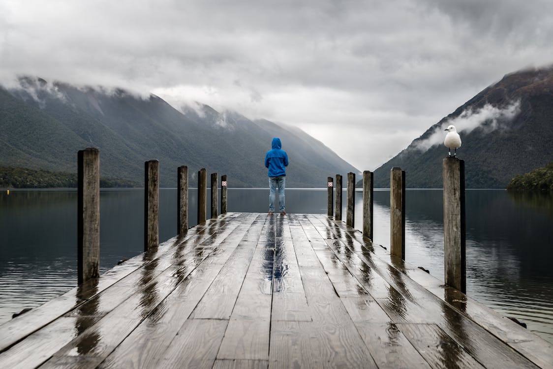 Free Person Standing on Brown Wooden Dock Stock Photo