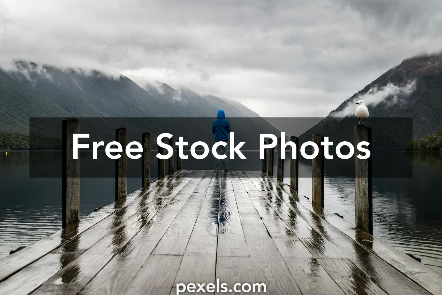 Mood Photos, Download The BEST Free Mood Stock Photos & HD Images