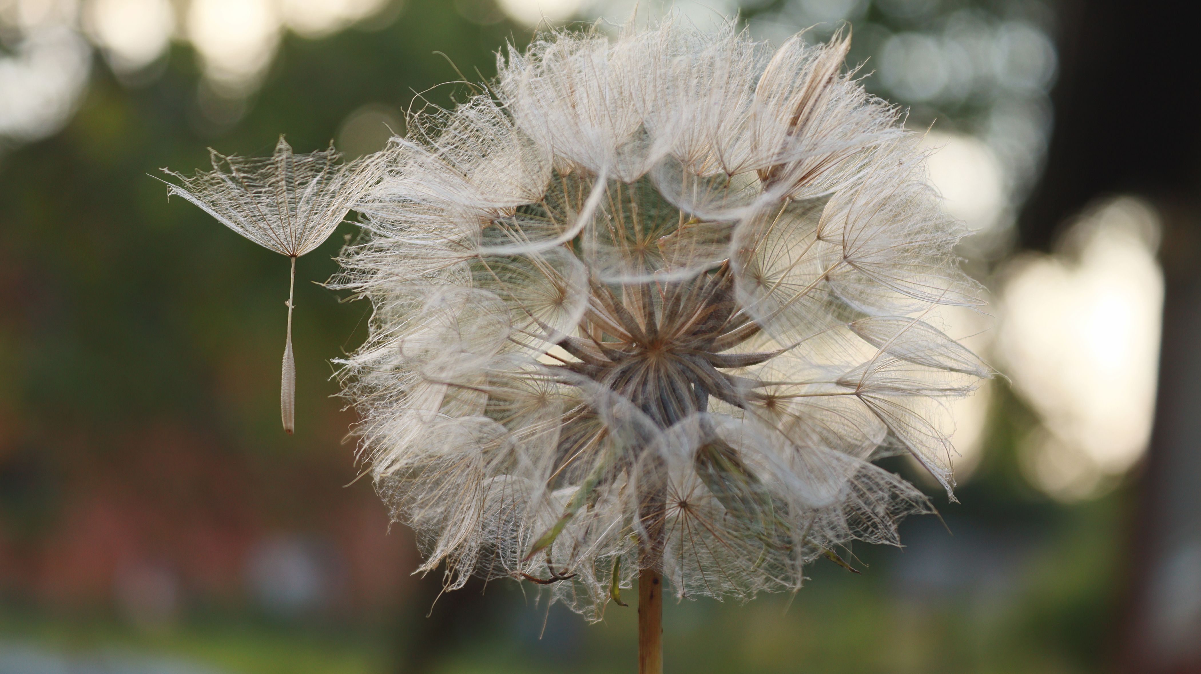 Understanding Draftophobia: The Psychological Fear of Air Currents