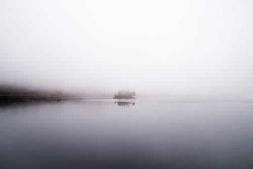 무료 안개 호수 사진 스톡 사진