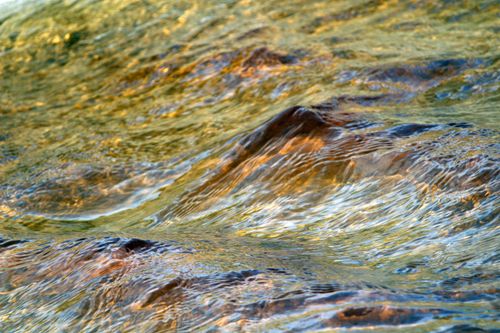 Free Close-up of shimmering river water in Paraná, Brazil, capturing golden hues and natural texture. Stock Photo