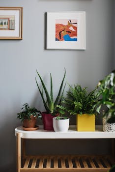 A stylish indoor plant shelf featuring various potted plants enhancing home decor.