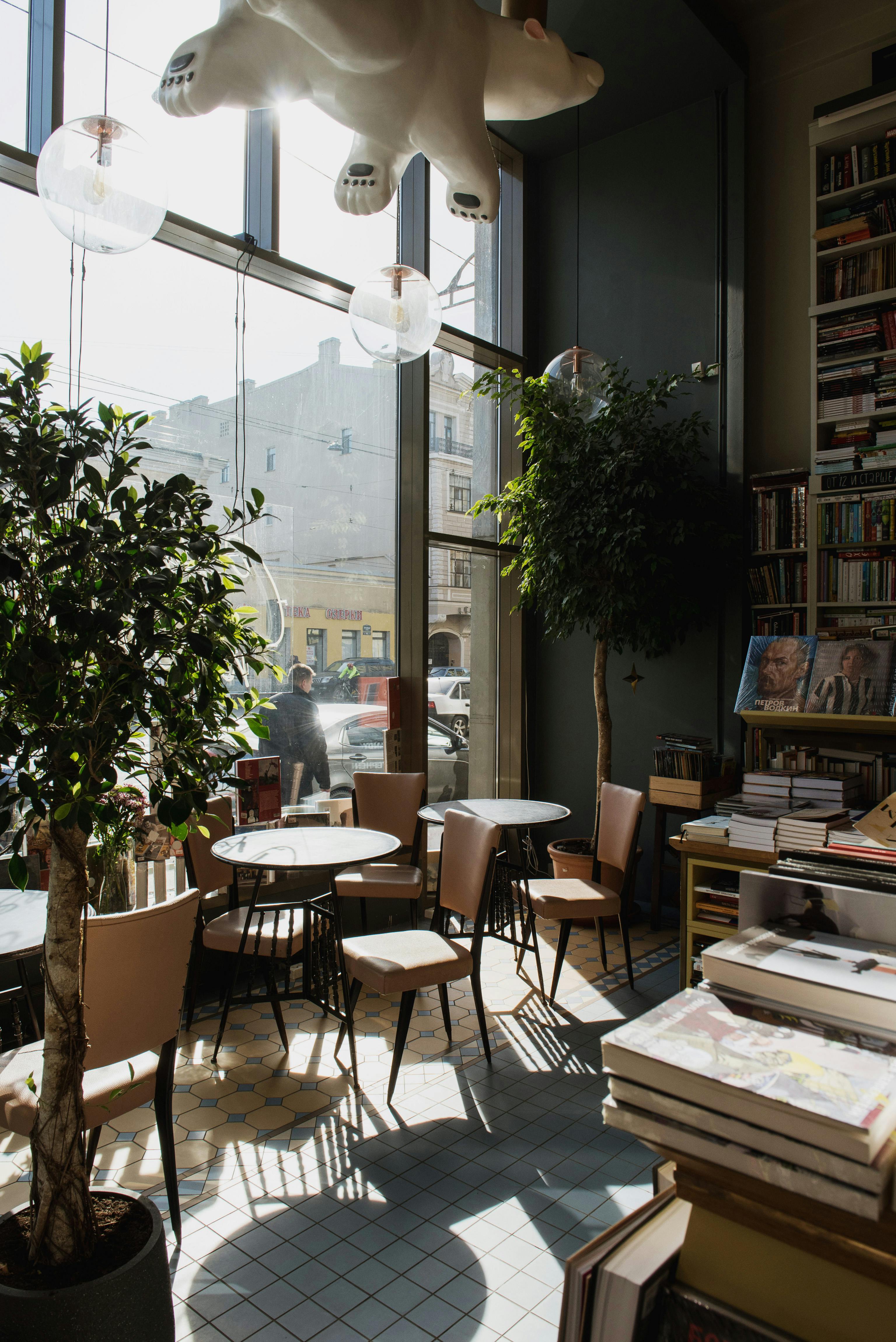 modern style interior with potted trees in flat in sunlight