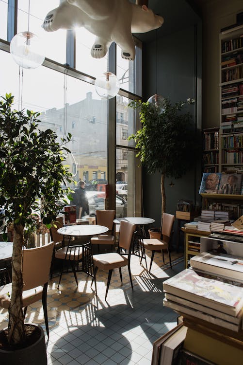 Cozy room with big potted trees and bookshelf located near large window and round table with chairs in daylight in apartment