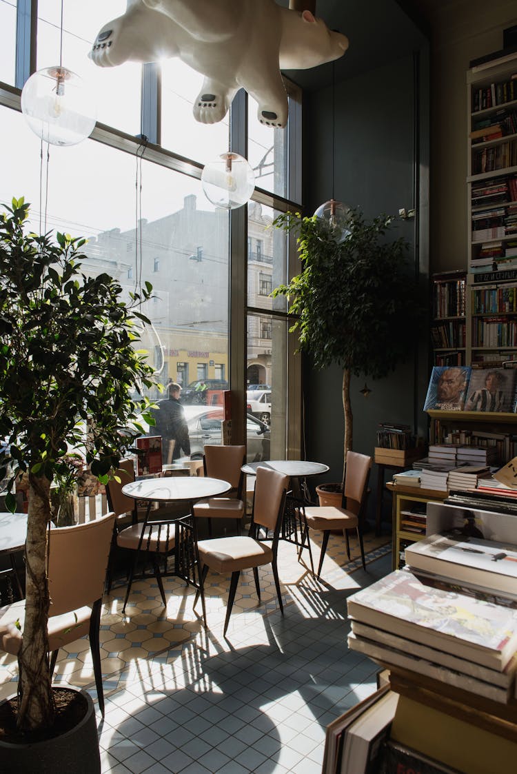 Modern Style Interior With Potted Trees In Flat In Sunlight