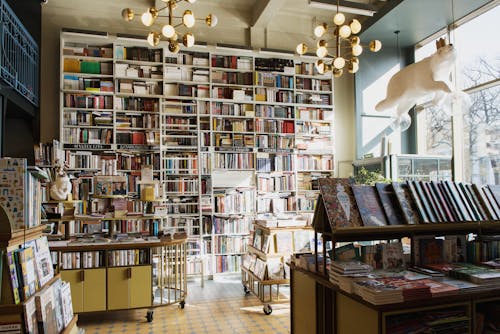 Darmowe zdjęcie z galerii z biblioteka, książki, pokój